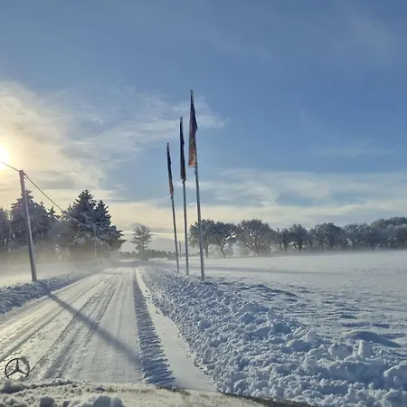 Dom wakacyjny Mobilheim Seeschwalbe Am Kransburger 542 *